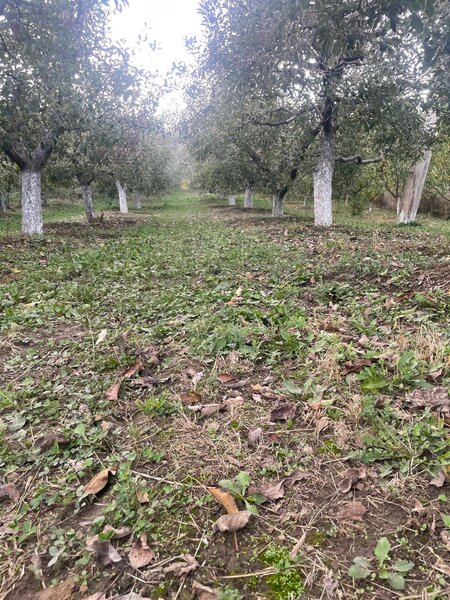 Botesti, judetul Arges