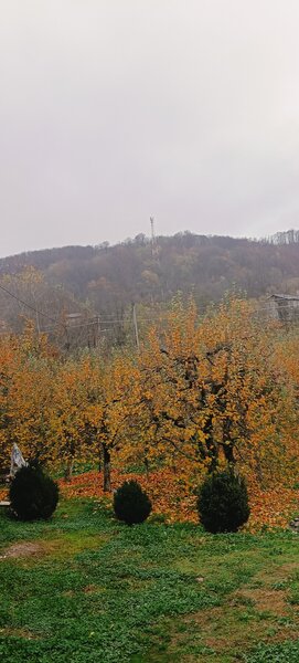 Botesti, judetul Arges